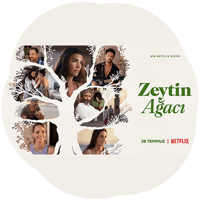 Zeytin Ağacı / OGM